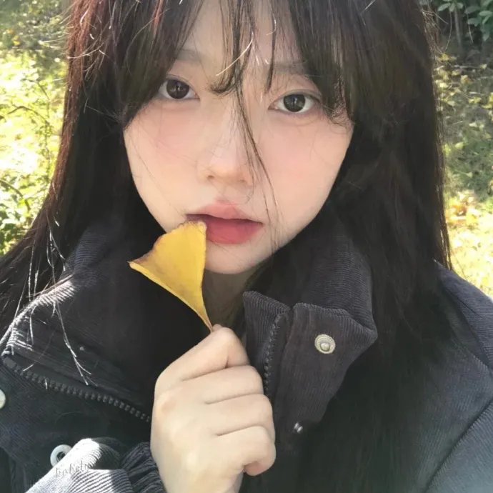 妻子的浪漫旅行第一季